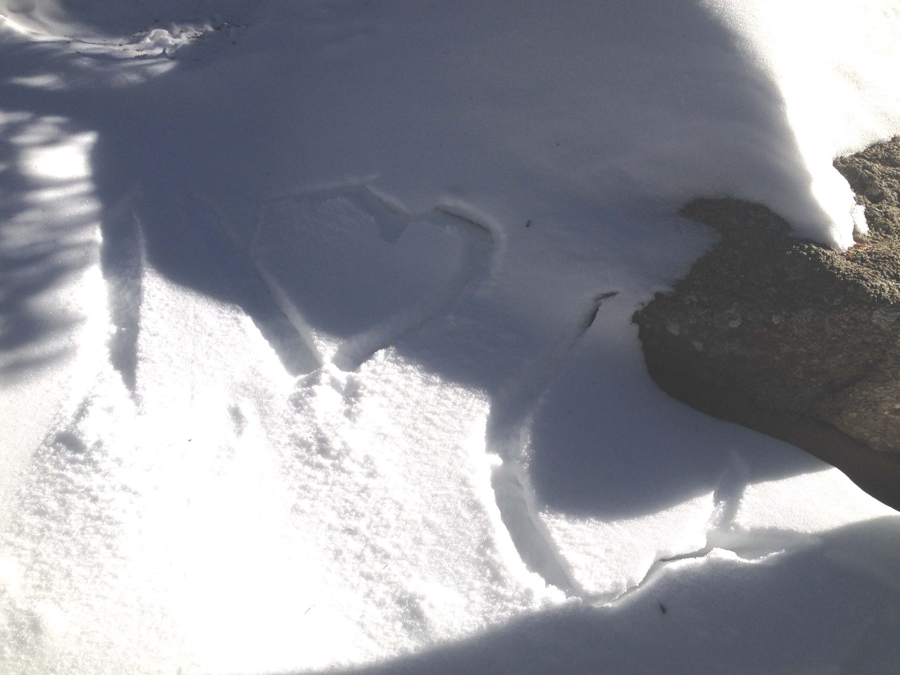 A message written in the snow